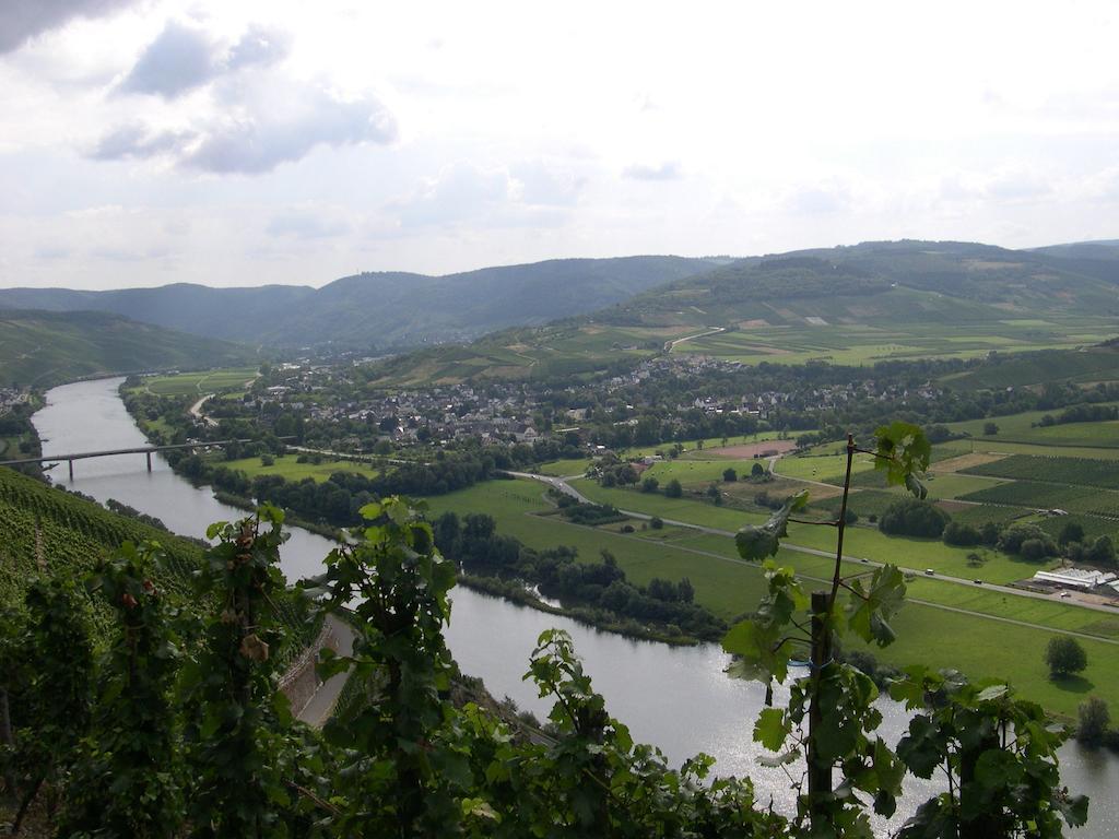 Juffer Flair Restaurant Gaestehaus Brauneberg Rom bilde