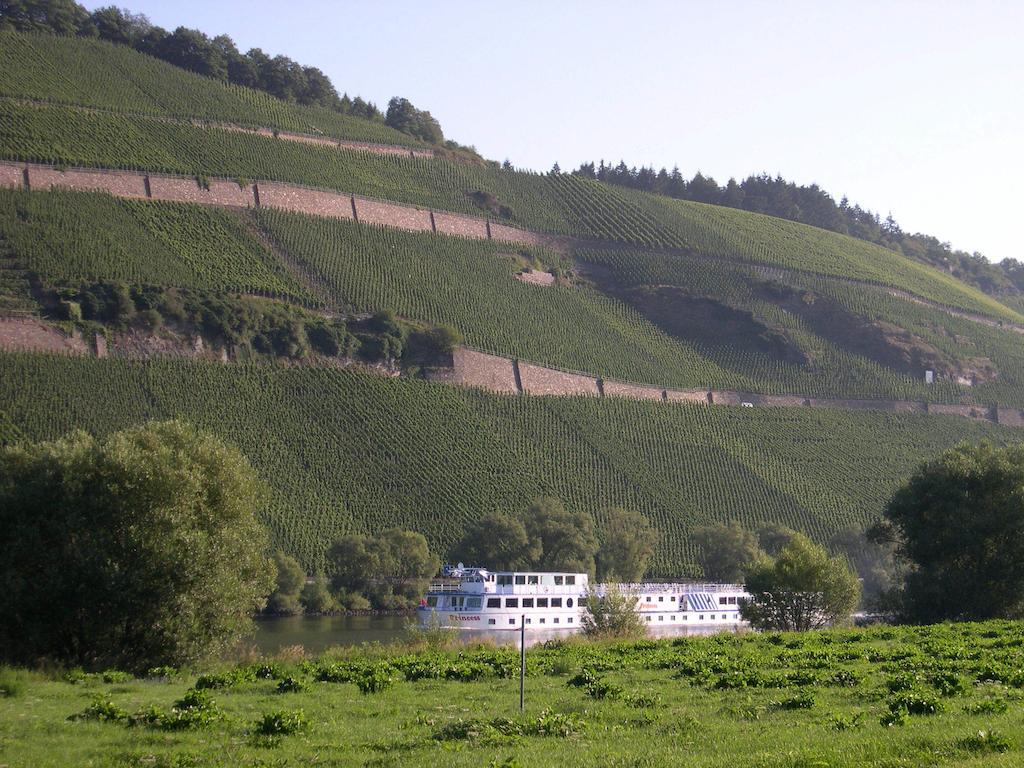 Juffer Flair Restaurant Gaestehaus Brauneberg Eksteriør bilde